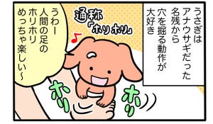 さんたとポレの後ろ足日記 第15回 ペットのうさぎがする「ホリホリ」