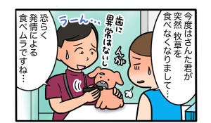 さんたとポレの後ろ足日記 第20回 うさぎの発情期問題が再び