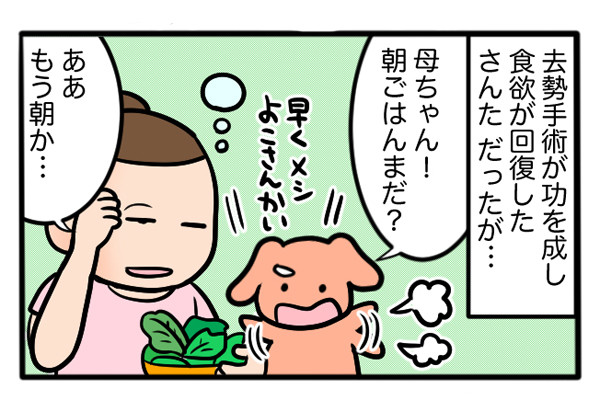 さんたとポレの後ろ足日記 第22回 ペットのうさぎの食事トラブル