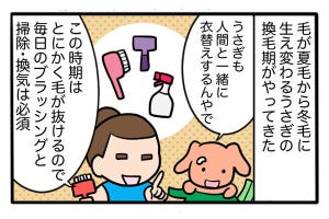 さんたとポレの後ろ足日記 第23回 うさぎの「衣替え」は楽しい?