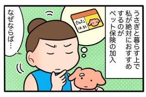 さんたとポレの後ろ足日記 第28回 ペット保険は「うさぎ」にも必要