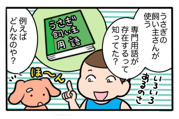 さんたとポレの後ろ足日記 第30回 「ティモテ」「うたっち」の意味は? うさぎ飼い主用語