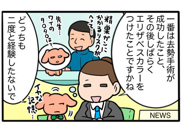 さんたとポレの後ろ足日記 第31回 2020年をペットと振り返る