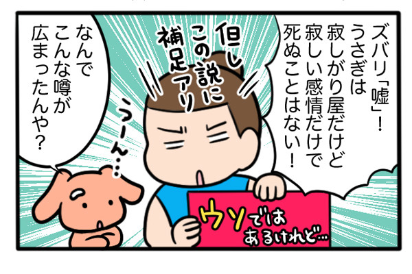 さんたとポレの後ろ足日記 第32回 うさぎは「寂しいと死ぬ」という都市伝説