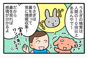 さんたとポレの後ろ足日記 第39回 うさぎの「気持ち」の見分け方