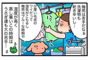 さんたとポレの後ろ足日記 第43回 ペットと梅雨の湿気問題