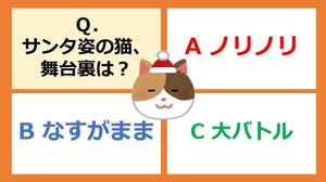 章月綾乃の【運勢を切り開く心理テスト】 第68回 【心理テスト】サンタ姿の猫、その舞台裏は? - 三択でわかる「2024年、オススメの張り方」