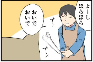 主夫の暮らし 第8回 【漫画】愛猫と遊ぶ時間は増えたけど……