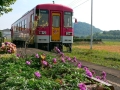 もっとおトクに! 賢い鉄道旅行術 第4回 ローカル線全駅下車の旅、「横見式」で時間を節約