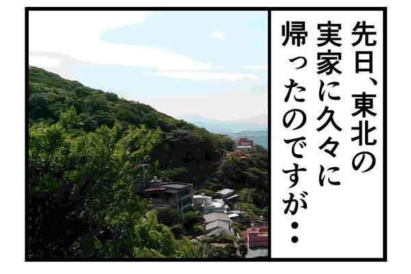 テレワークでやらかした話 第117回 [本怖] 田舎の実家で快適にテレワーク! が「トンデモな事態」で絶句する