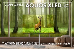 20周年の進化！「AQUOS XLED」 に“本物を追求し続ける”シャープのDNAが見えた