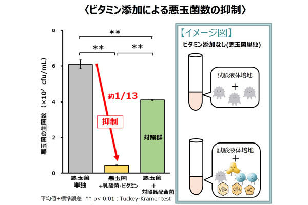 若い世代ほど腸内環境が乱れている！？ 肉類の摂りすぎに注意して、腸内の悪玉菌を減らそう！