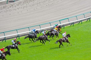 馬主になるにはいくら必要? 収入要件や競走馬の購入代金を解説