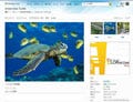 Windows Live最新版を12月提供 - Amazon、Flickr、Twitterなどとも連携へ