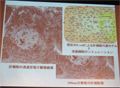 BSCS 2008 - スパコンで切り拓く生命科学の将来