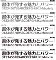 フォントワークス、「LETS」会員向け2009年12月リリース予定の新書体を発表