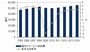国内ITサービス市場、2010年も成長の足取り遅く、本格回復は2012年以降に