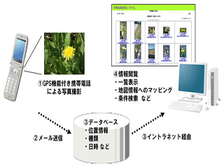 富士通、ICT活用による生物多様性調査を社員参加で開始