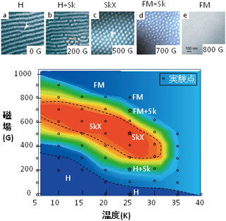 東大ら、「渦状スピン構造体:スキルミオン結晶」の直接観察に成功