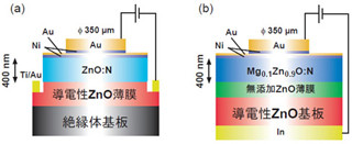 東北大ら、汎用製造技術を用いたZnO系紫外LEDの高輝度化を実現