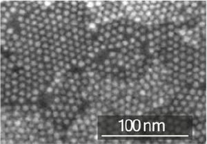 NIMS、ナノスケール光源を大面積基板上に緻密配列化することに成功