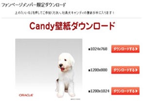 日本オラクル、Facebookファンページを開設 - 社員犬の壁紙限定提供も