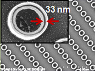理研、ナノギャップ構造の「金二重ナノピラー配列」をウェハサイズで作製