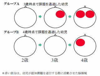 東大、幼児の脳機能発達過程には複数のプロセスが存在することを発見