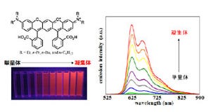 理研ら、色素分子の凝集により蛍光が増大する有機系蛍光性色素を開発