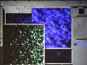 プロのフォトレタッチャーが披露する「Photoshop」レタッチテクニック