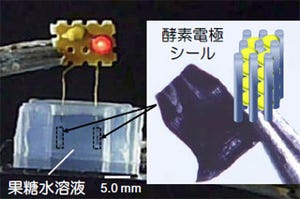 東北大など、貼ったり巻いたりして使える柔軟な酵素電極シールを開発