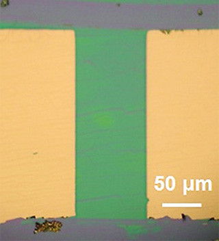 阪大など、高い移動度を実現した印刷可能な有機トランジスタを開発