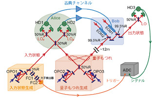 東大、シュレーディンガー猫状態光パルスの量子テレポーテーションに成功