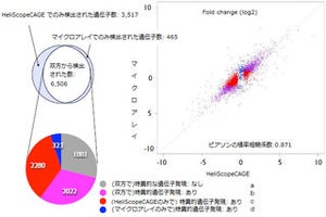 理研、微量サンプルで測定可能な1分子シーケンサの遺伝子発現解析法を開発