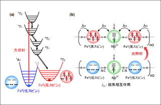 東大、光によるスピンクロスオーバー現象を用いた光スイッチング磁石を開発