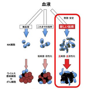 九大、高いがん細胞殺傷能力を持つNK細胞の選択的増幅培養技術の特許を出願