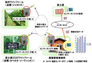 富士通、山梨県のワインファームでセンサーを活用した農業支援