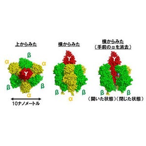 東大、回転子がなくてもたんぱく質ナノモーターが回転する仕組みを解明