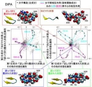 理研、環境分子が生体分子に与える影響を解析する新たな計算手法を開発