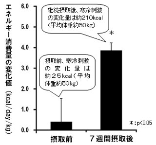 味の素と天使大、辛くないトウガラシ成分の摂取で代謝活性の向上を確認