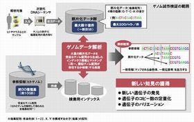 日立と国立遺伝学研究所、ゲノムデータ処理へのHadoop適用を検証