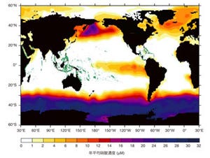 北大など、栄養の乏しい海域であってもサンゴ礁が形成される機構を解明