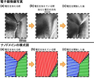 東大、圧電材料中ナノドメインの応答をリアルタイムかつ直接観察に成功