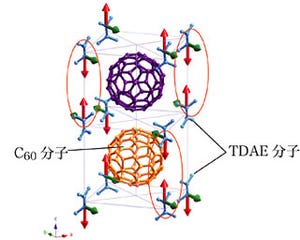 理研、磁性を持たない有機分子が磁性を帯びる仕組みを新たなモデルで提唱