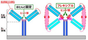 島津製作所、血液1滴でがんや成人病の早期診断が可能になる基礎技術を開発