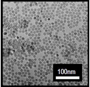 NIMSなど、磁性ナノ粒子によるがんの温熱治療における発熱メカニズムを解明