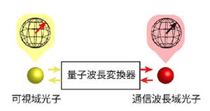 阪大と東大、量子メモリ読み書きのための最後の光波長変換技術を確立