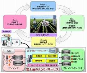 富士通、イオン直営農場に「農業クラウド」を導入