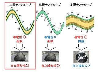 東大とMIT、3層CNTを用いたセラミックスフリーのリチウム電池を開発