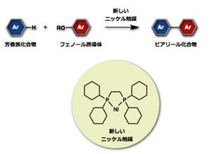 名大、ビアリール化合物の合成向け次世代型クロスカップリング法を開発